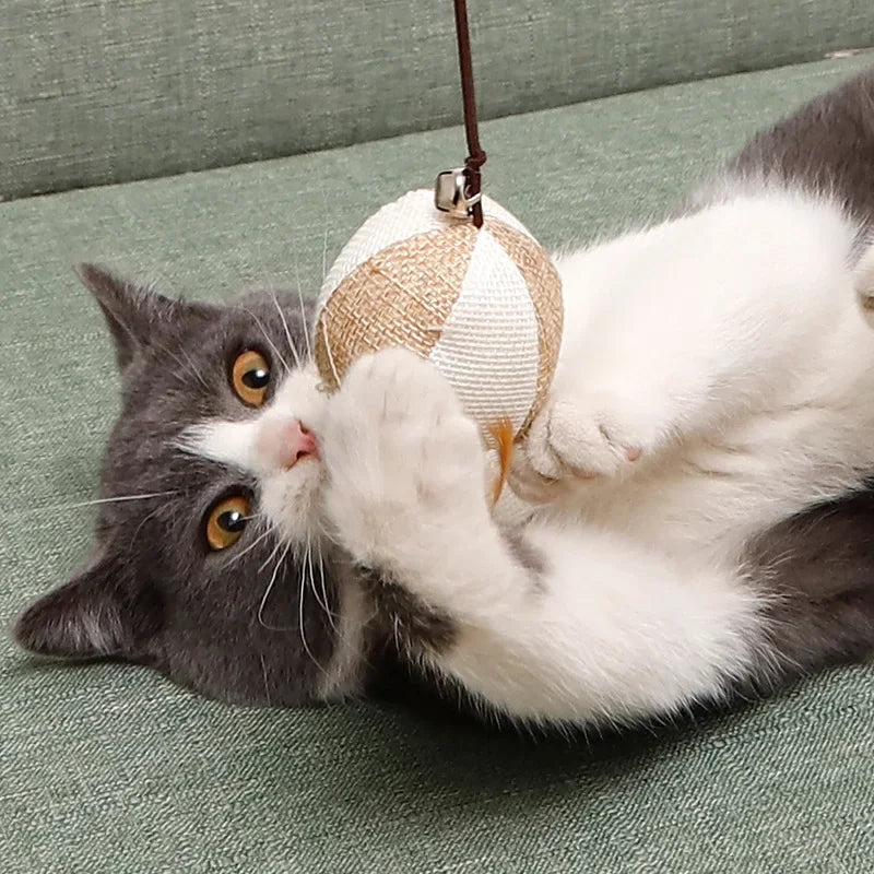 Varinha Gatinho Caçador